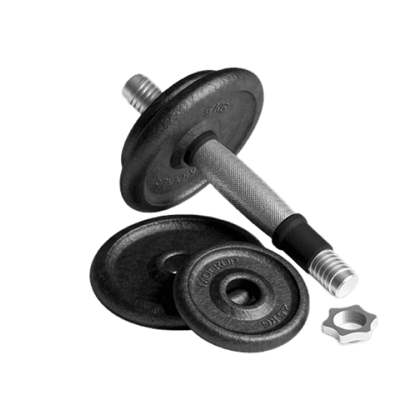 Premium Dumbbells alt