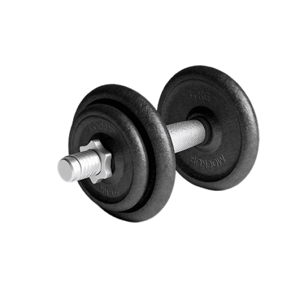Premium Dumbbells alt