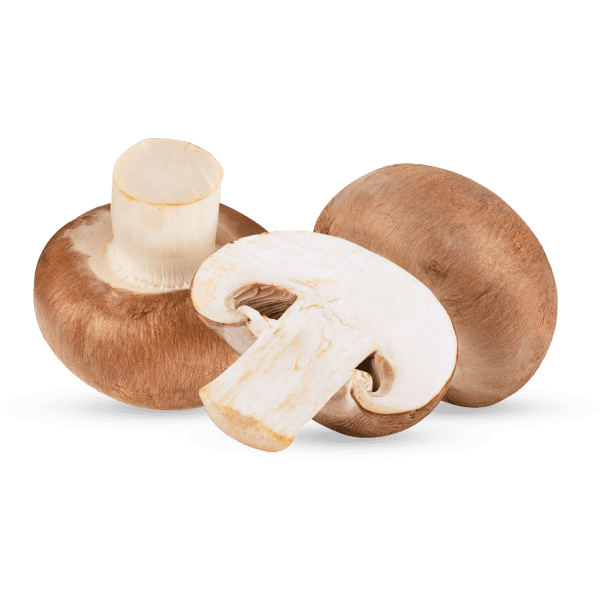 Farm-fresh Mushrooms product image
