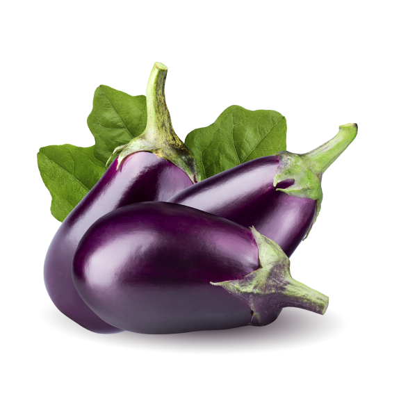 Nutrient-Rich Eggplant product image