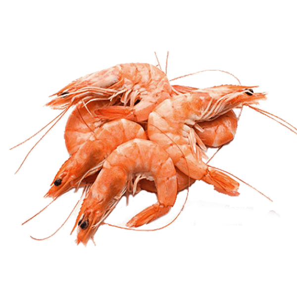 Premium Seafood alt
