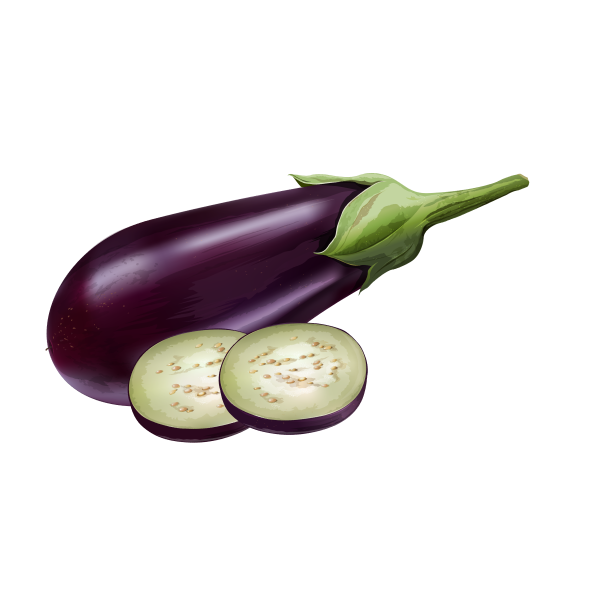 Nutrient-Rich Eggplant alt