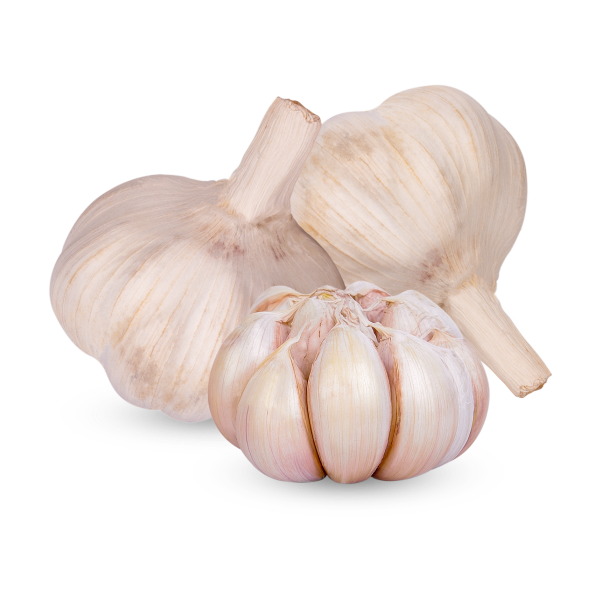Fresh Organic Garlic alt