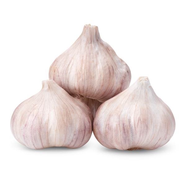 Fresh Organic Garlic alt