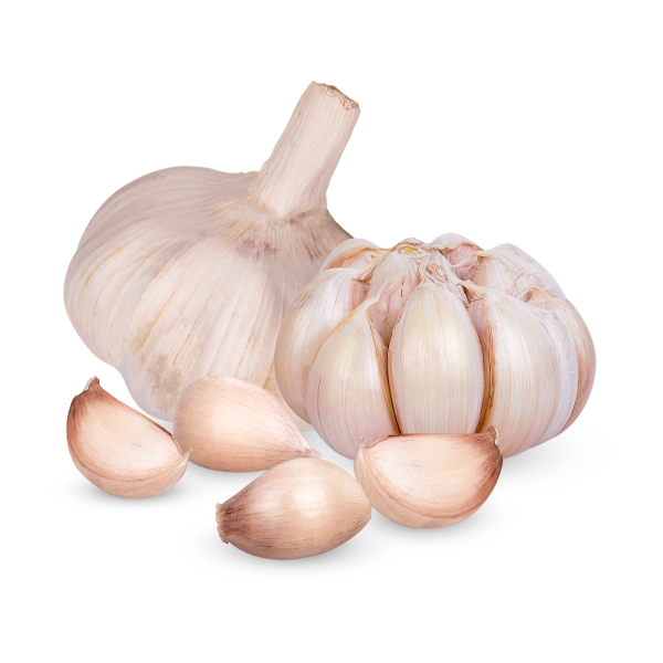 Fresh Organic Garlic product image