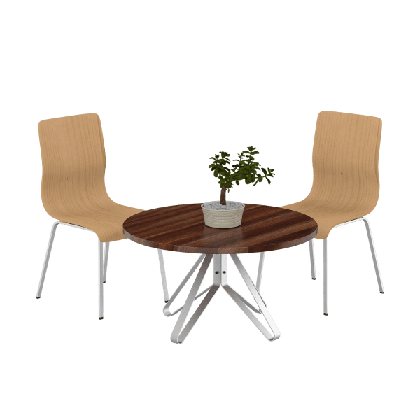 Elegant Dining Table alt