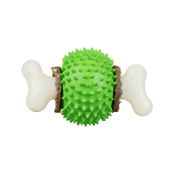 Toy for Dogs alt
