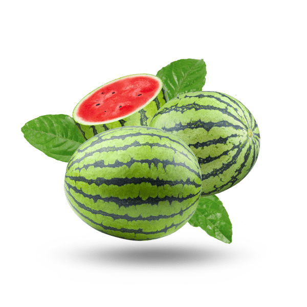 Deliciously Sweet Watermelon alt